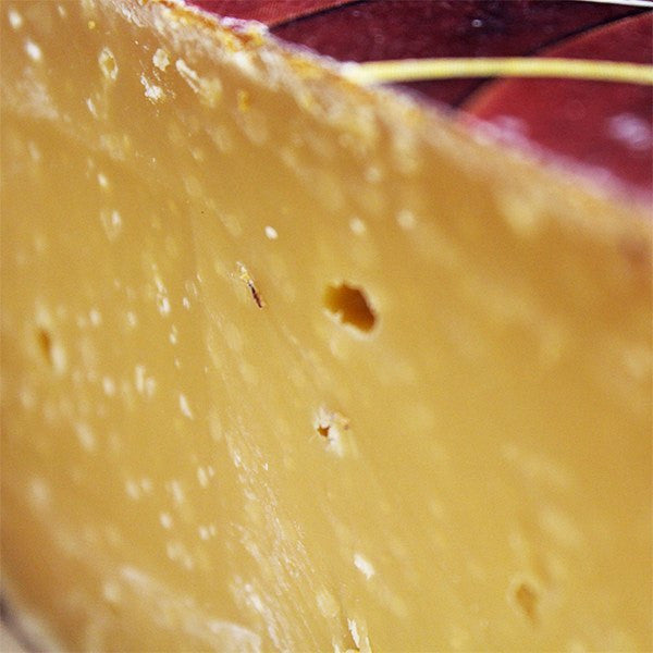 3 year old Gouda - Cheesyplace.com
 - 2