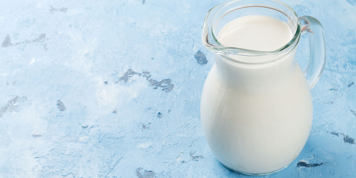 Pasteurized vs Unpasteurized Cheese (what you need to know