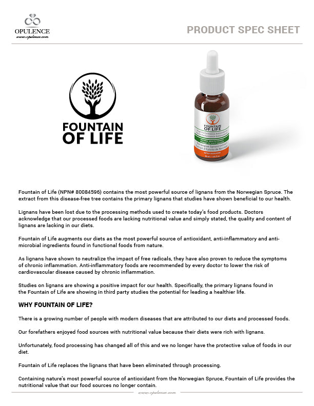 Fountain of Life Spruce Tree Extract 30 ml – Norwegian Spruce Lignan Extract