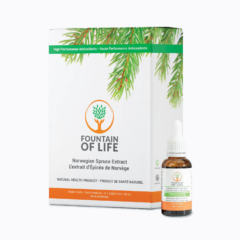Fountain of Life Spruce Tree Extract 30 ml – Norwegian Spruce Lignan Extract