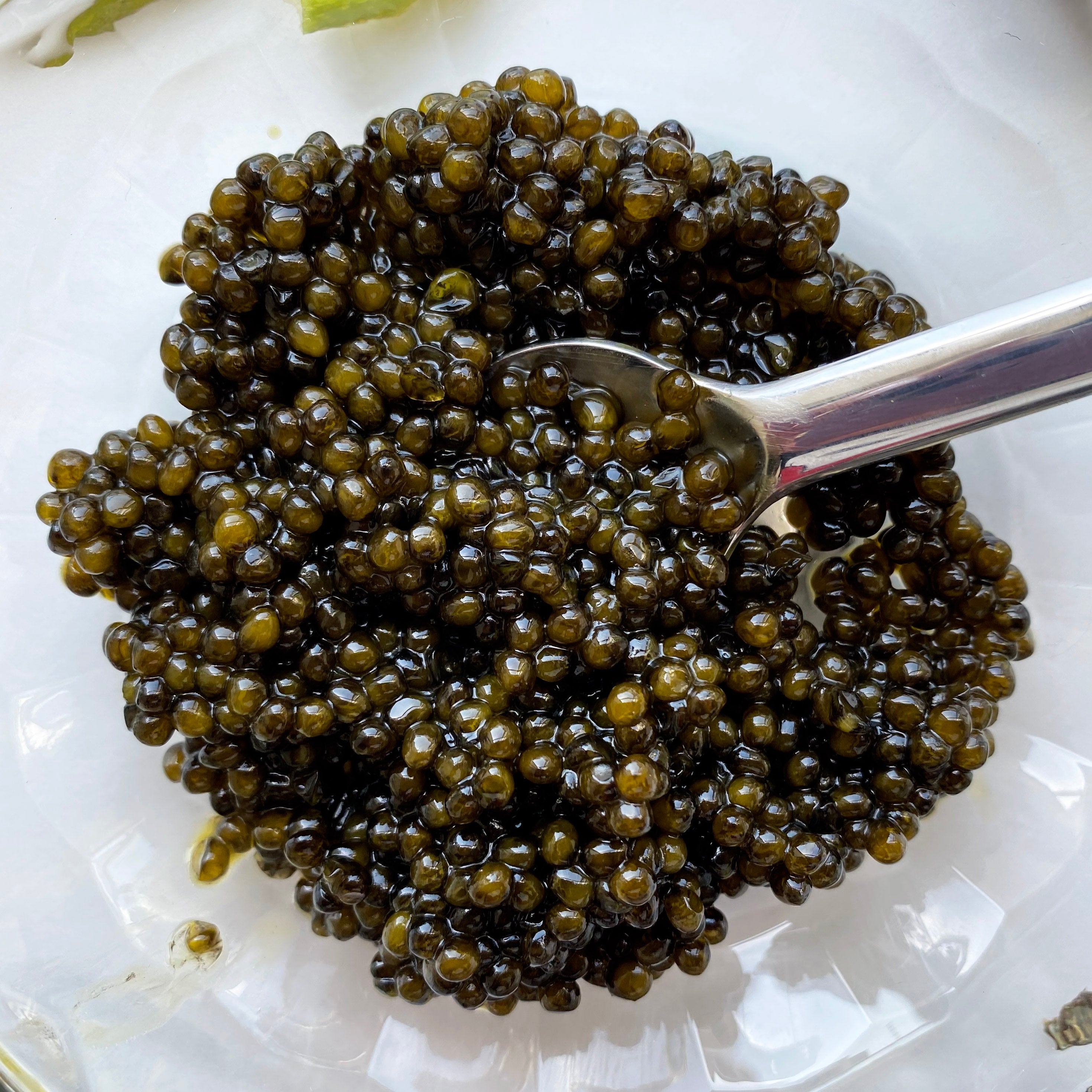 Sturgeon Black Caviar | get it fast from Cheesyplace!