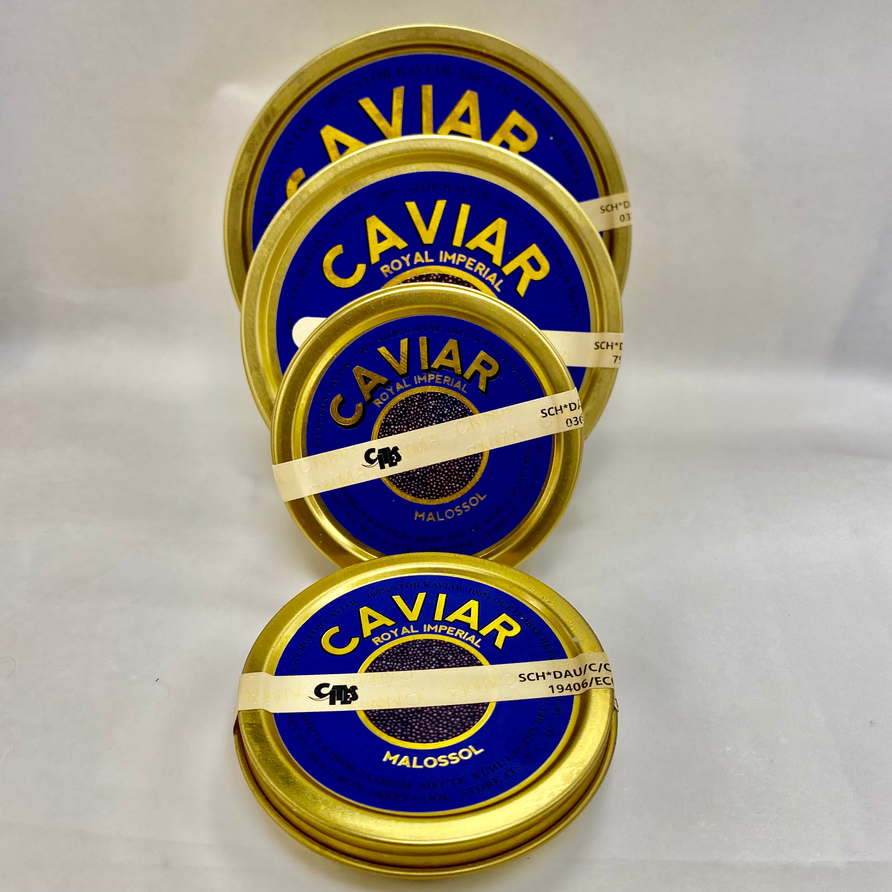 Sturgeon Black Caviar | get it fast from Cheesyplace!