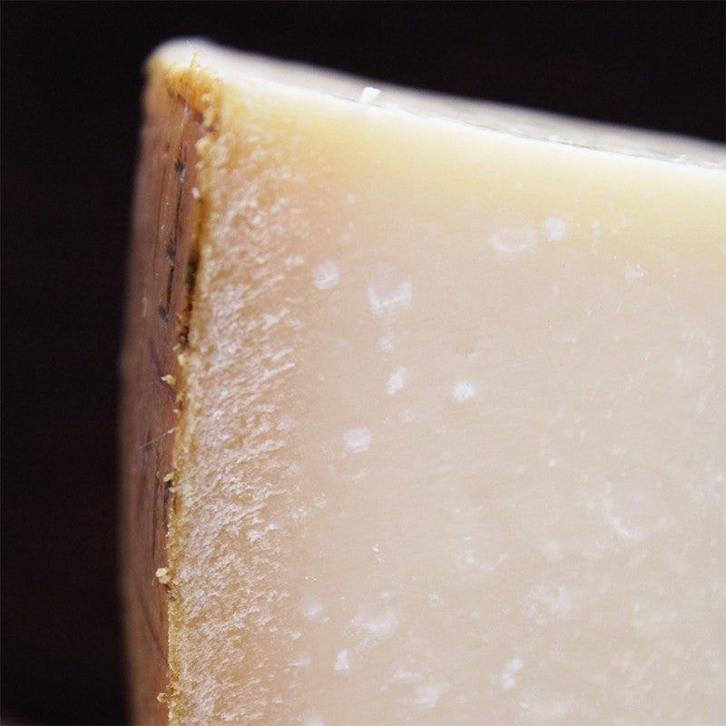 Parmigiano Reggiano Aged Cheese